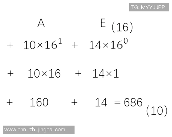 足球裁判专用手表的功能与选购指南助你成为更专业的裁判员